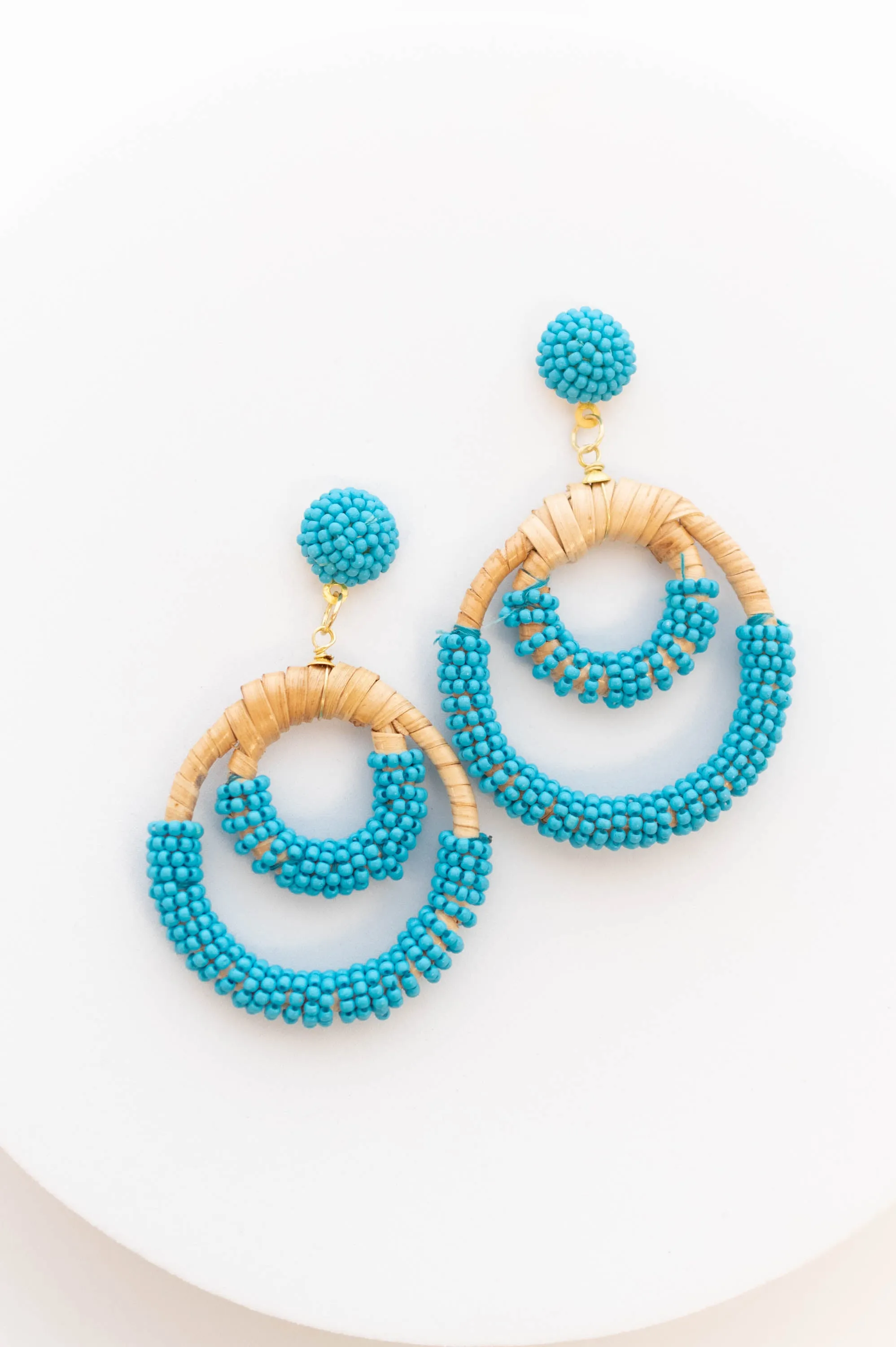 Blue Tropical Destinations Earrings