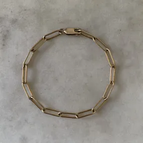 Trendy COLLECTORS CHAIN BRACELET