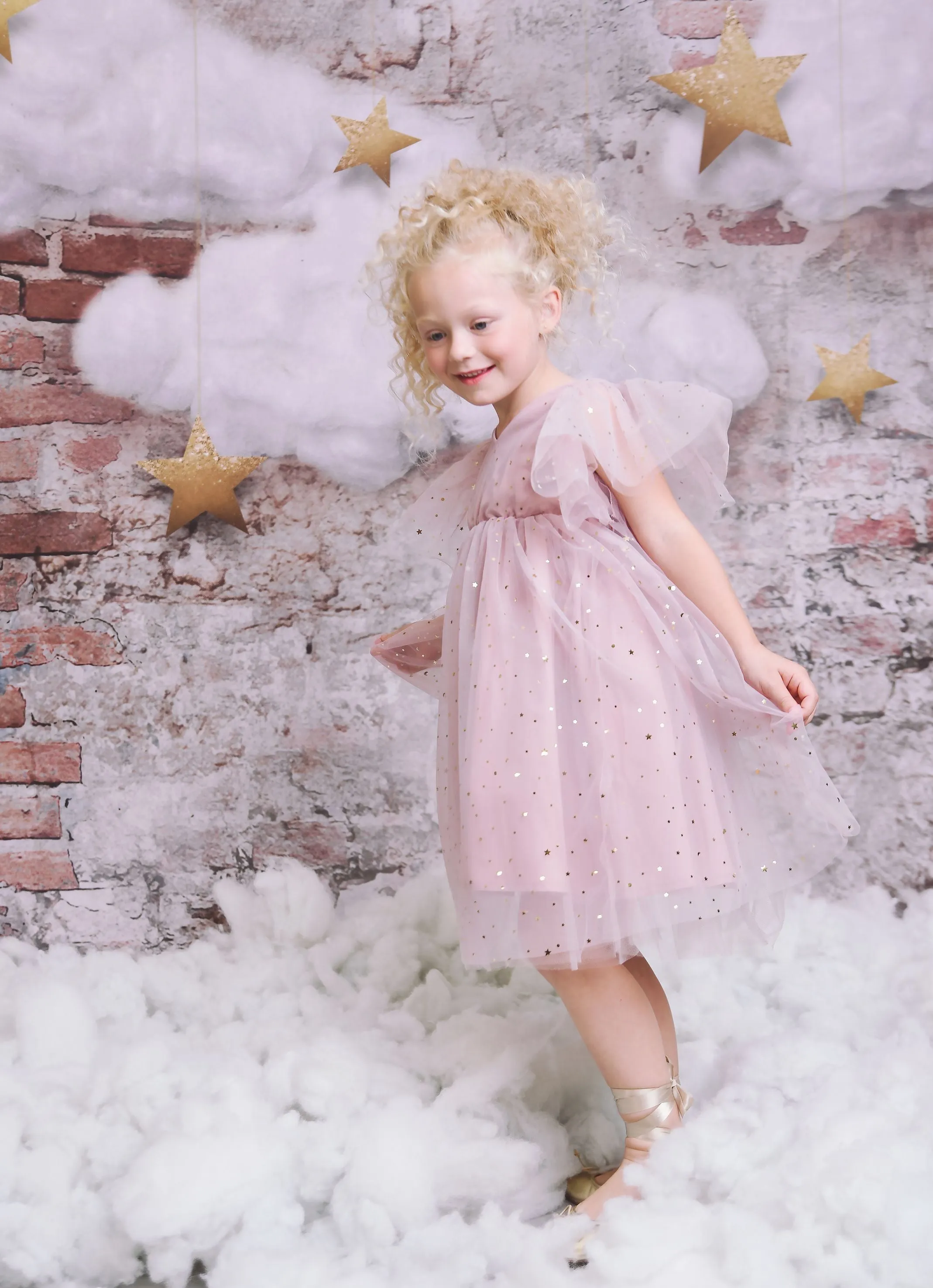 DOLLY STARS AND MOON TULLE PRINCESS DRESS dusty violet