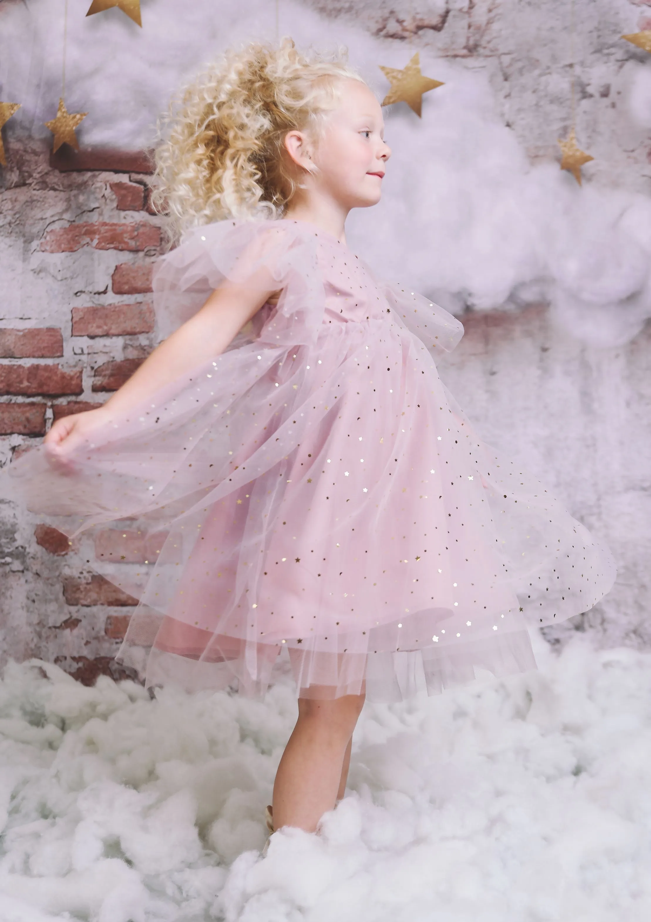 DOLLY STARS AND MOON TULLE PRINCESS DRESS dusty violet