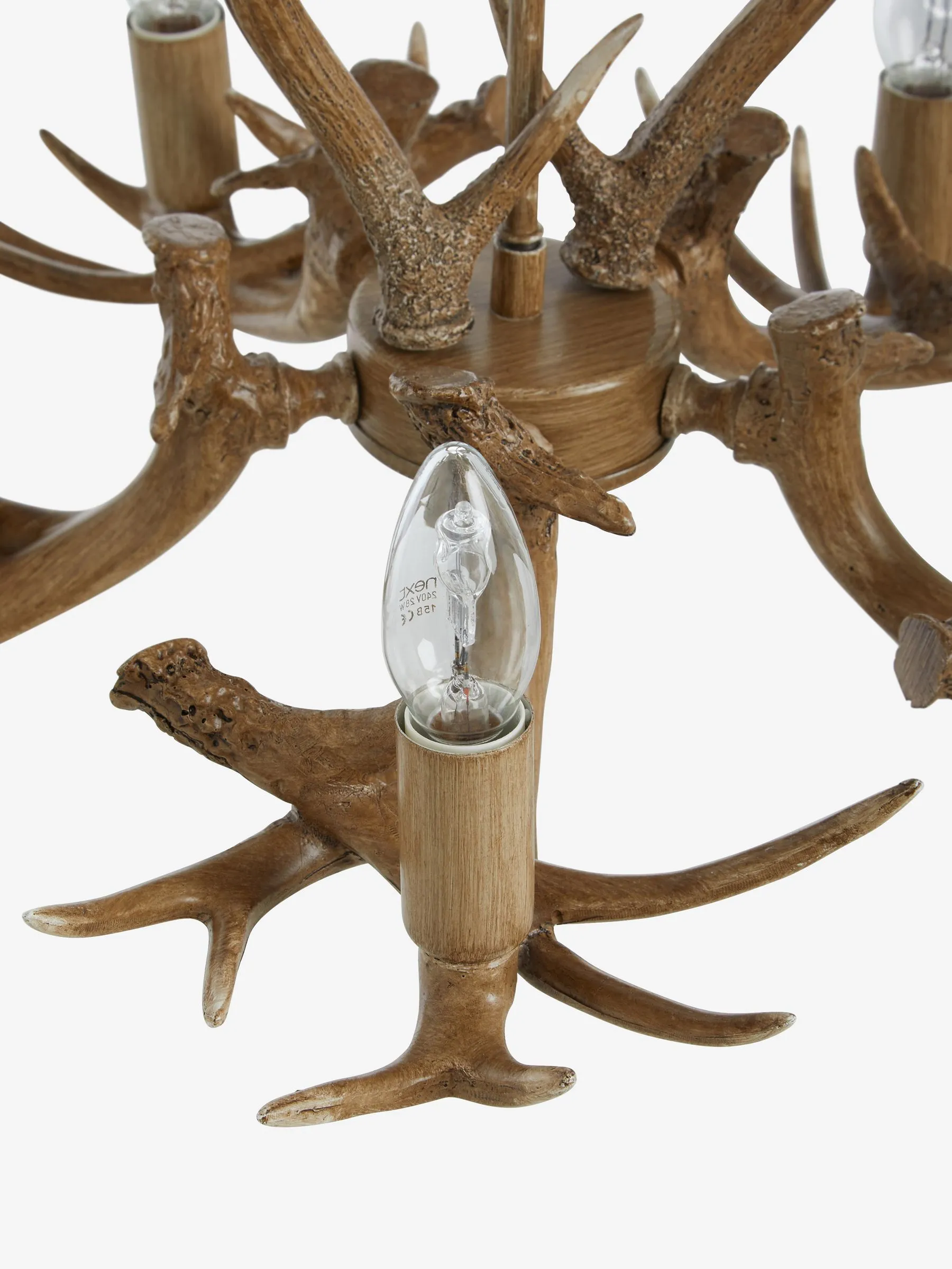 Natural Antler 5 Light Ceiling Light Fitting