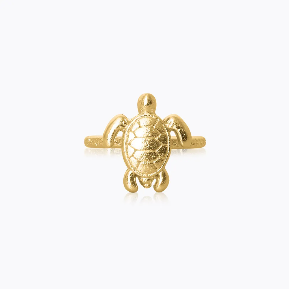 Turtle Jewelry Accessory